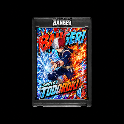 SHOTO TODOROKI 1/1
