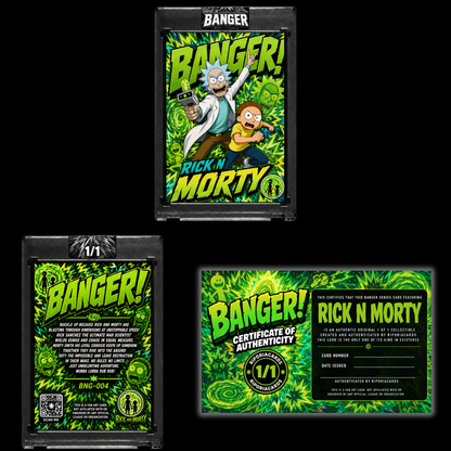 Rick N Morty 1/1